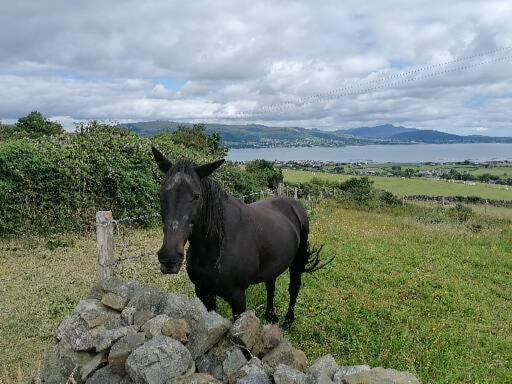 Ferienwohnung Carlingford Mountain And Sea Views Exterior foto